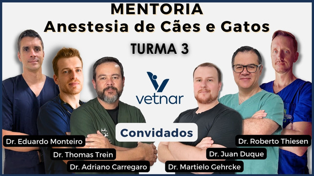 MENTORIA em Anestesia de Cães e Gatos - TURMA 3